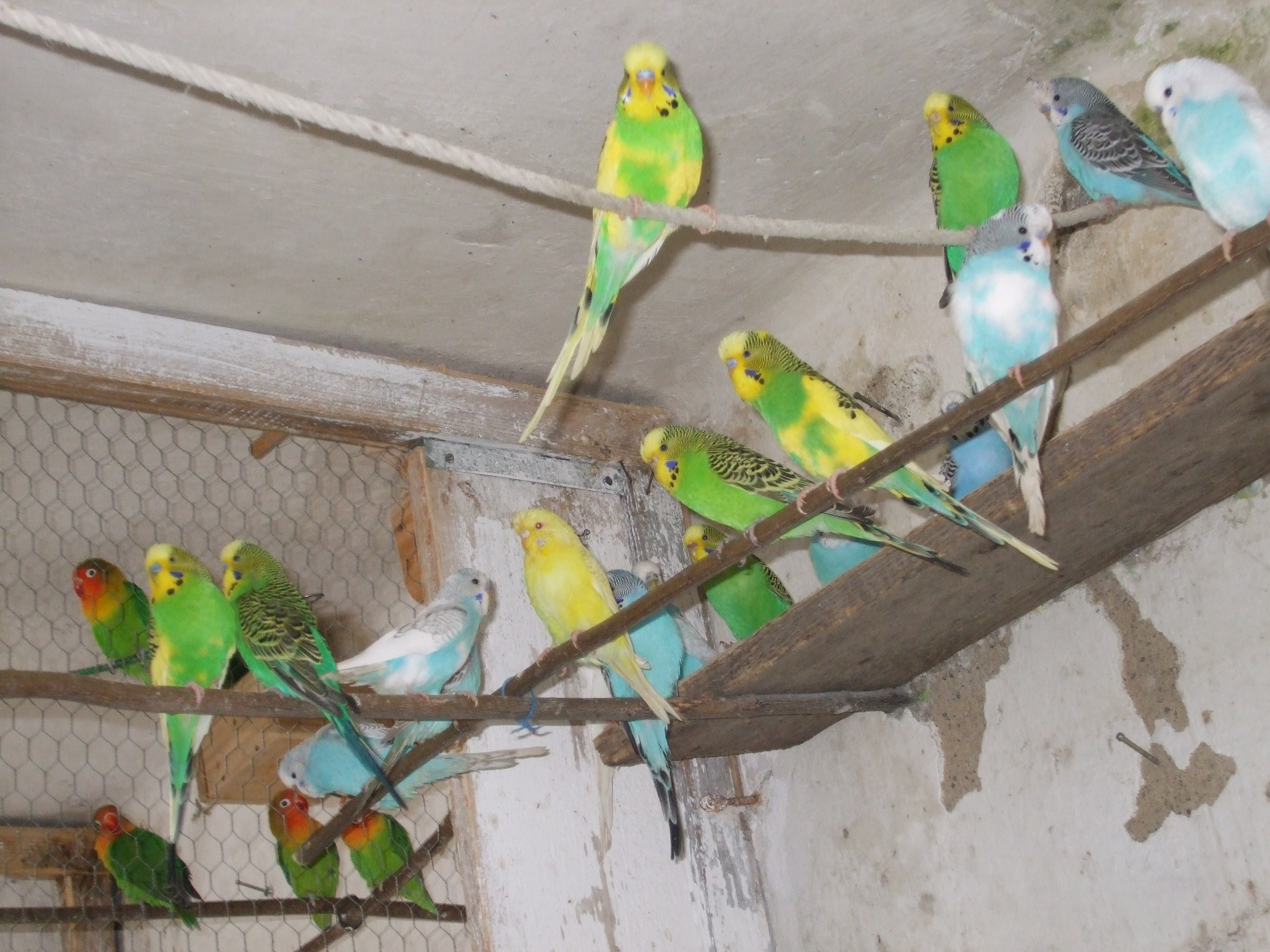 b01.jpg