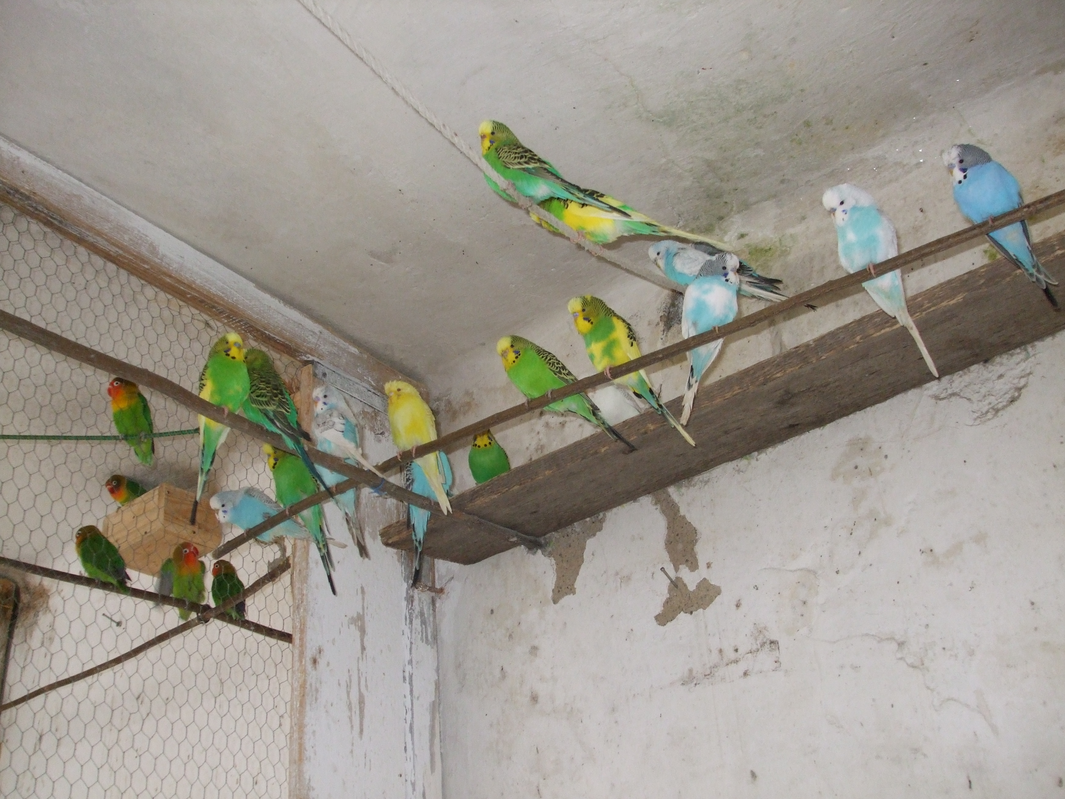 b05.jpg