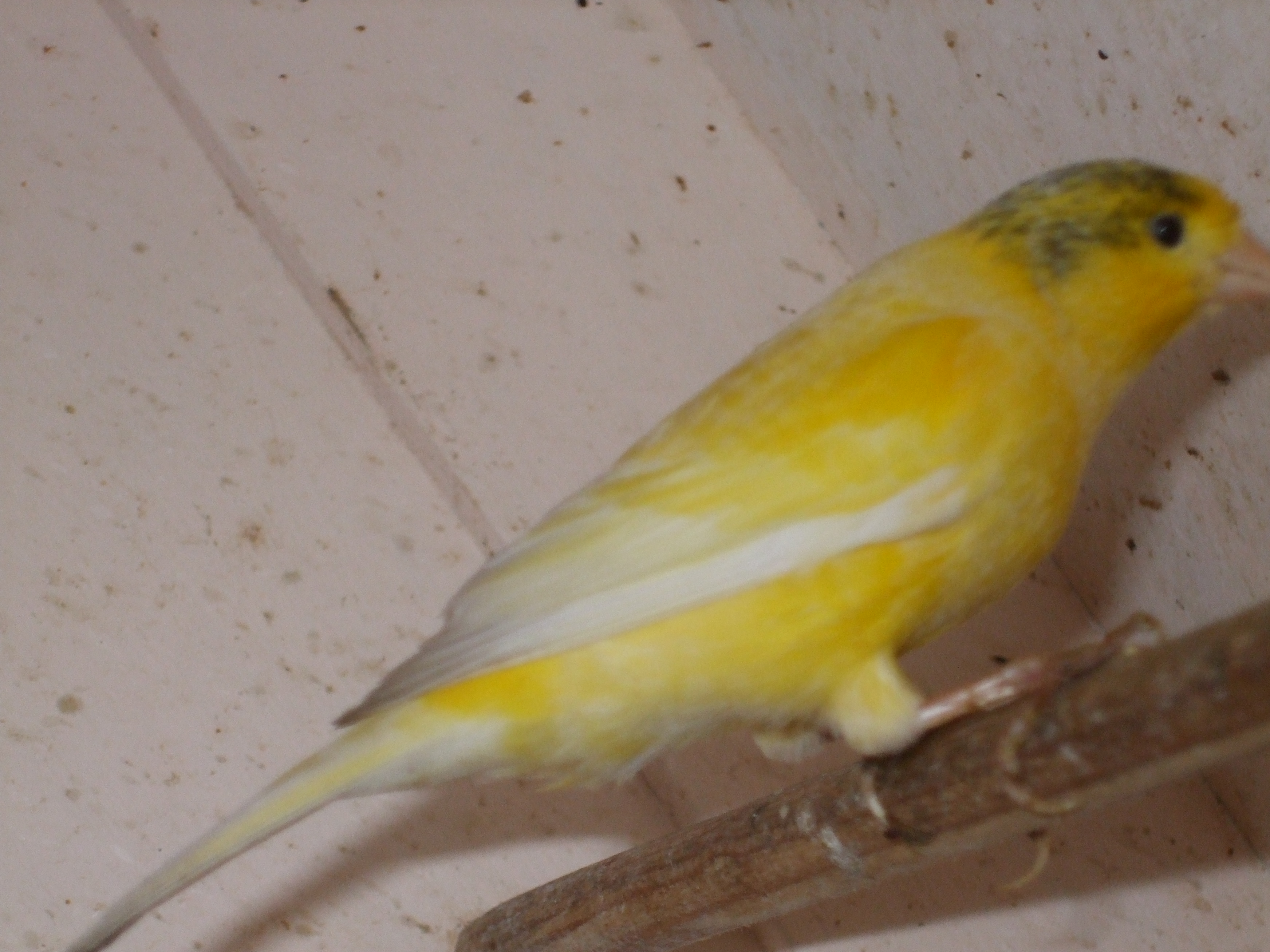 04.jpg